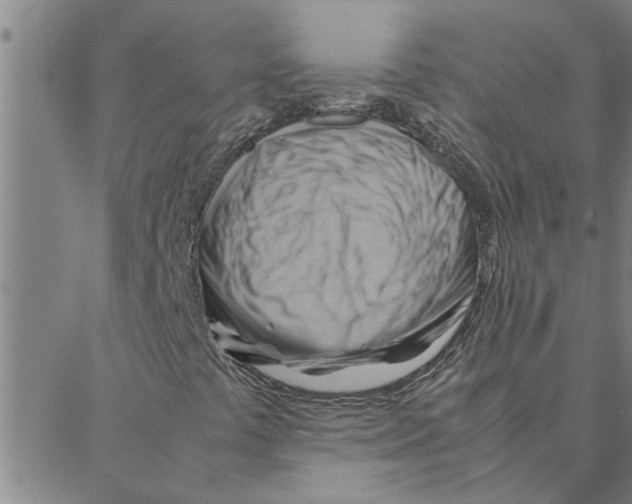 X0000088371441200706191231