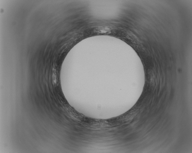 X0000088371442200706191231