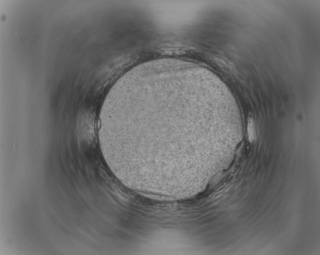 X0000088371444200706191231