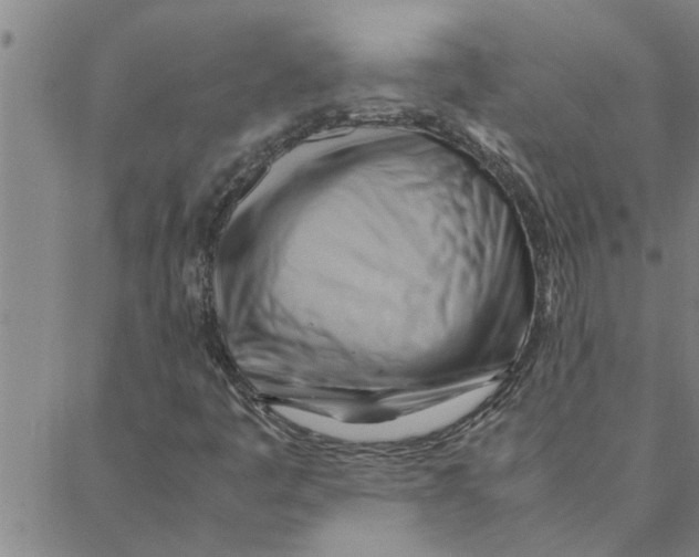 X0000088371445200706191231