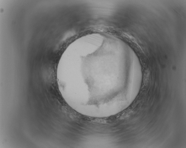 X0000088371446200706191231