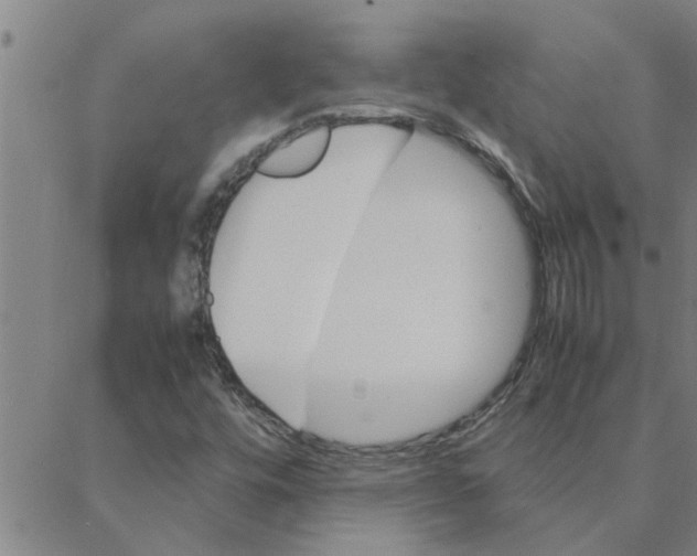 X0000088371448200706191231