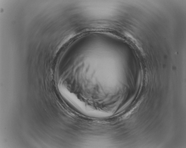 X0000088371449200706191231