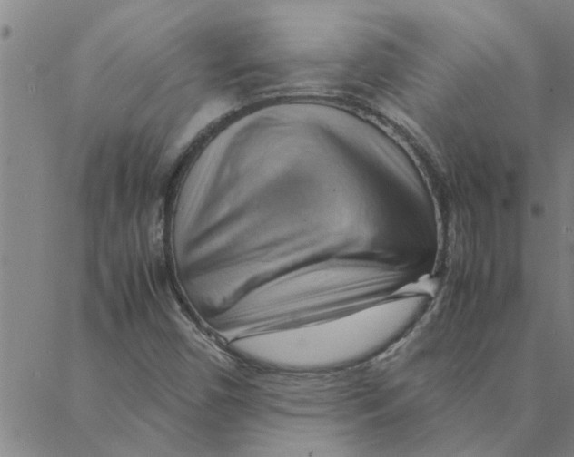 X0000088371450200706191231