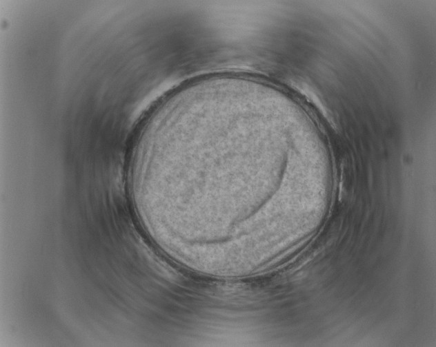 X0000088371452200706191231