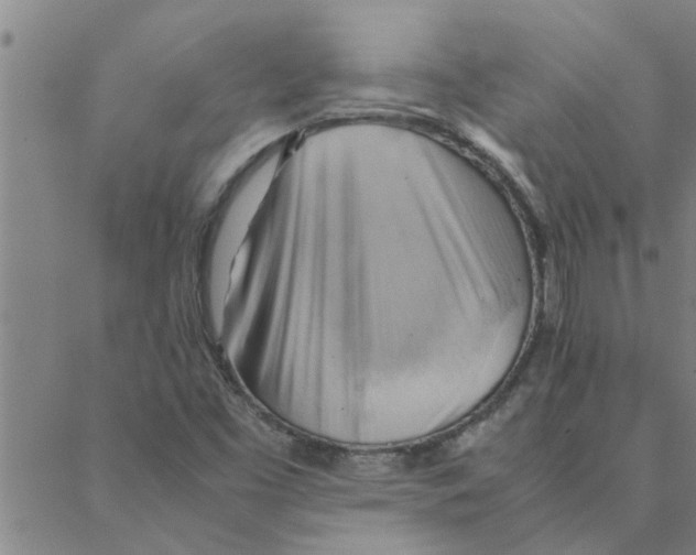 X0000088371453200706191231