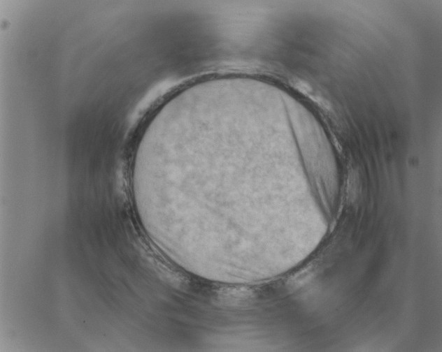 X0000088371454200706191231