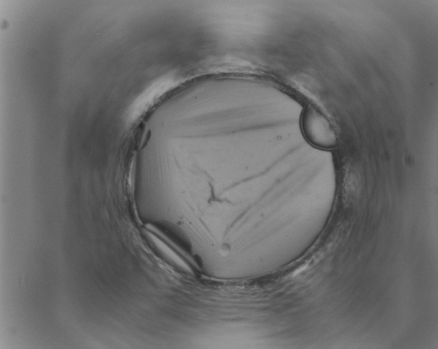 X0000088371455200706191231