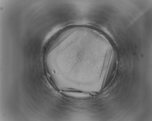 X0000088371456200706191231