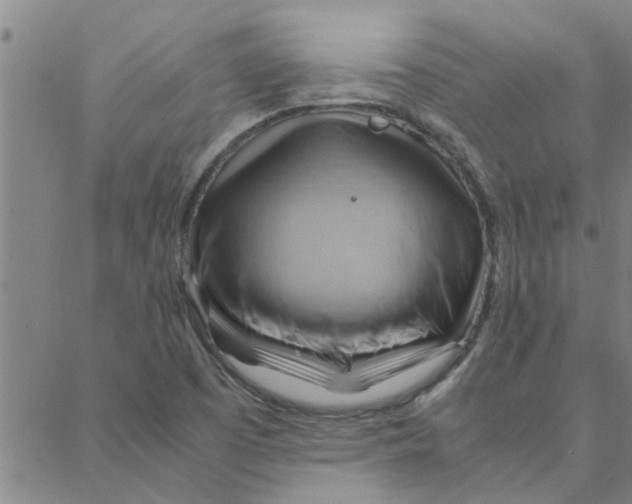 X0000088371457200706191231