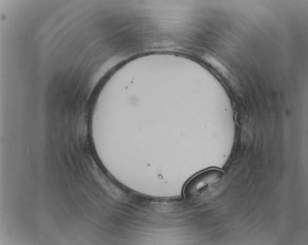 X0000088371458200706191231