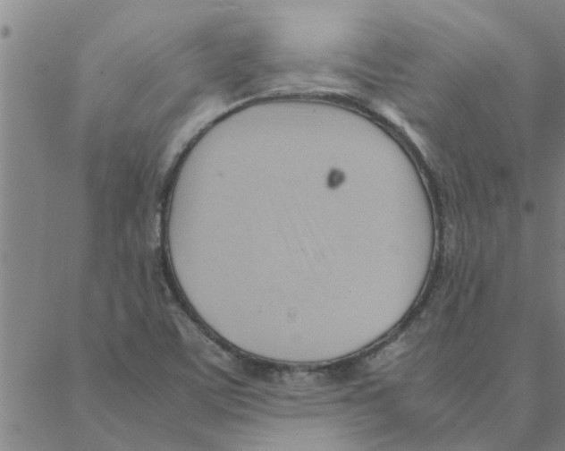 X0000088371459200706191231