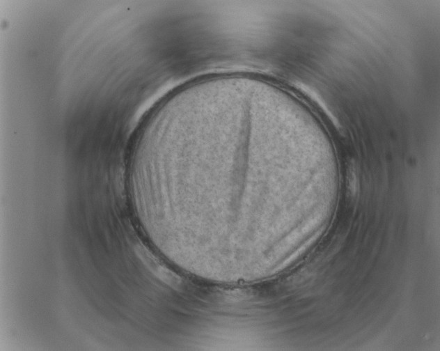 X0000088371460200706191231