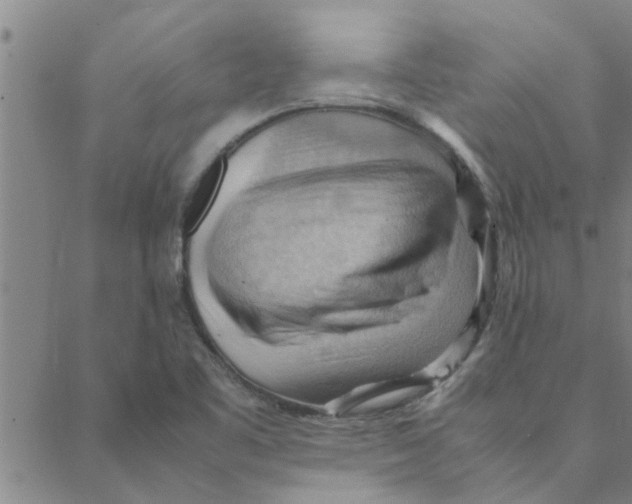 X0000088371461200706191231