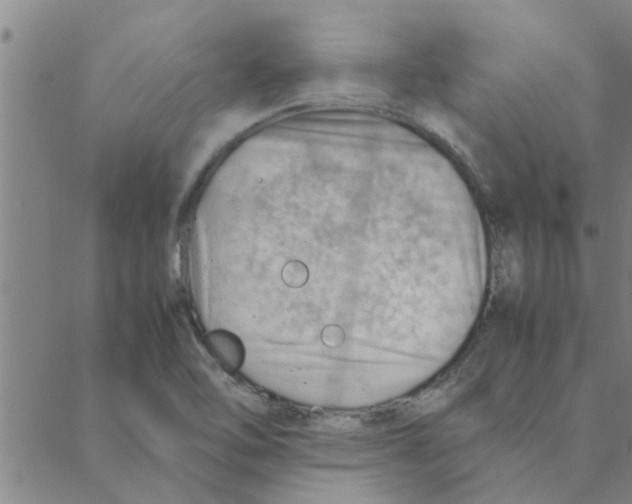 X0000088371462200706191231