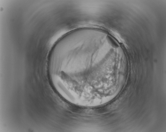 X0000088371463200706191231