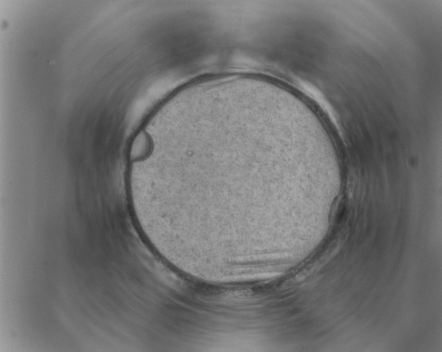 X0000088371464200706191231