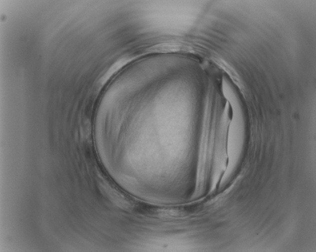 X0000088371465200706191231