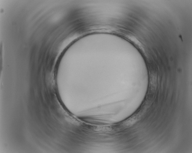 X0000088371466200706191231