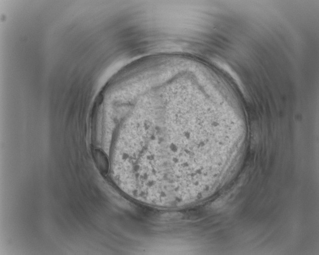 X0000088371467200706191231