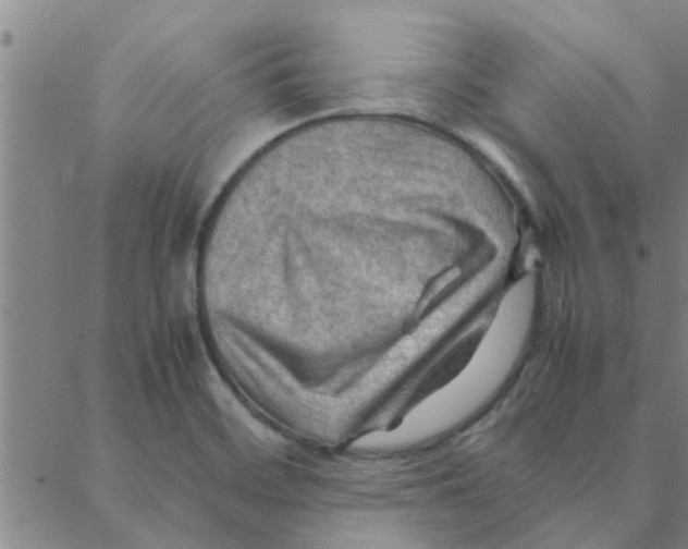 X0000088371468200706191231