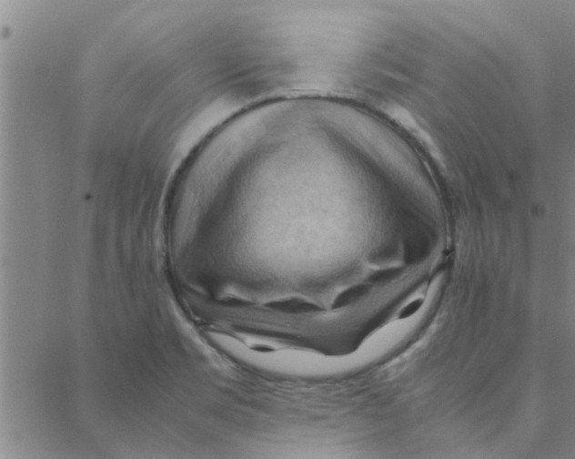 X0000088371469200706191231