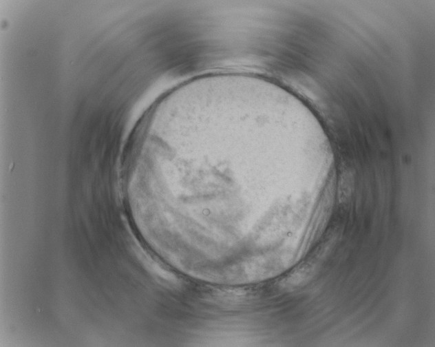 X0000088371470200706191231