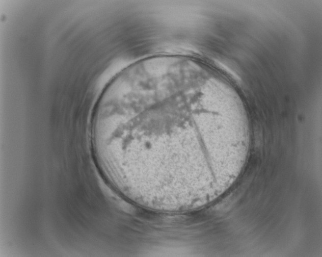 X0000088371471200706191231