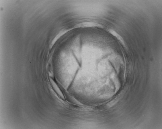 X0000088371473200706191231