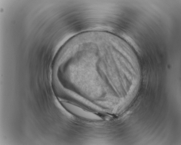 X0000088371476200706191231