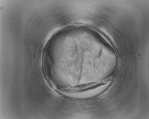 X0000088371477200706191231