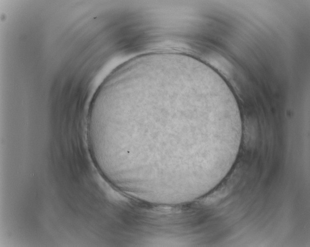 X0000088371478200706191231