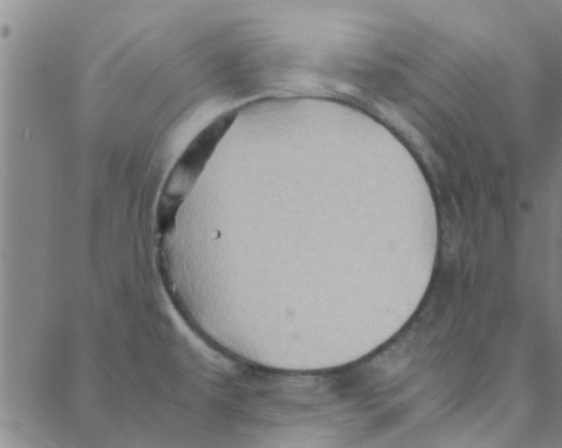 X0000088371479200706191231