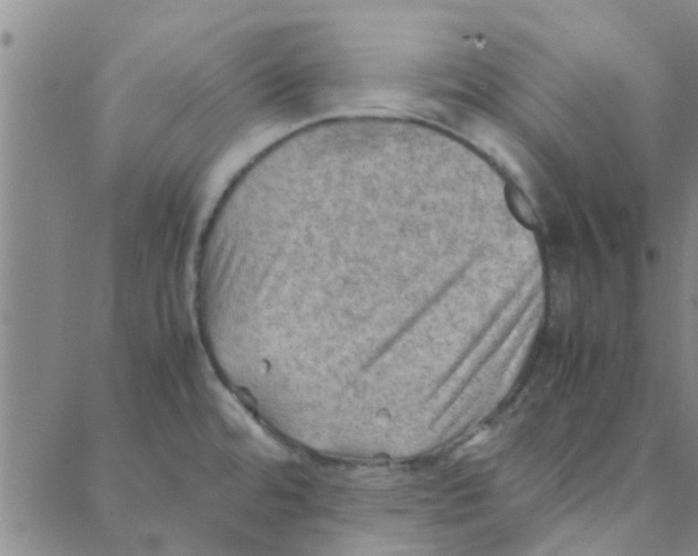 X0000088371480200706191231