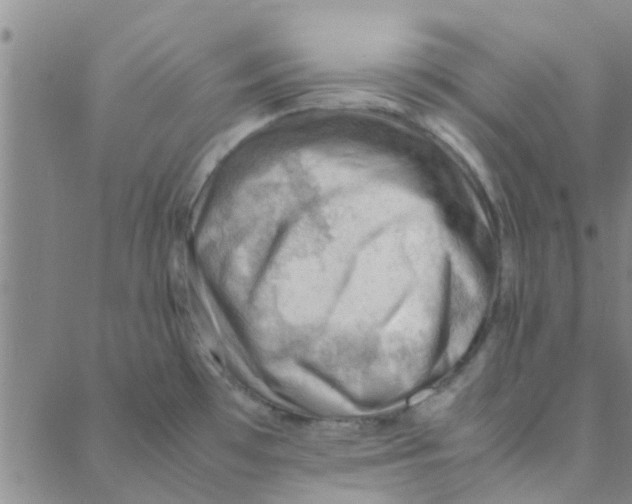 X0000088371481200706191231