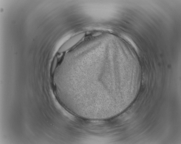 X0000088371483200706191231