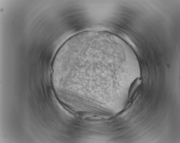 X0000088371484200706191231