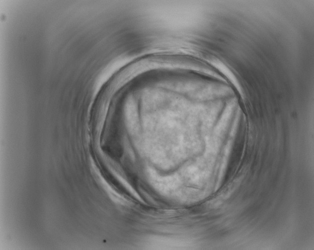 X0000088371485200706191231