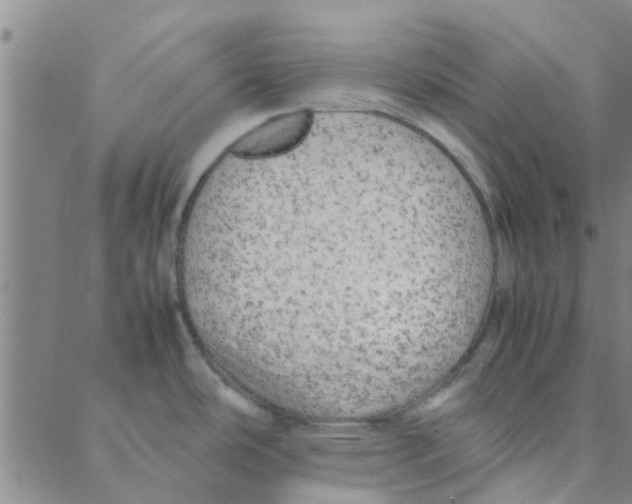 X0000088371486200706191231