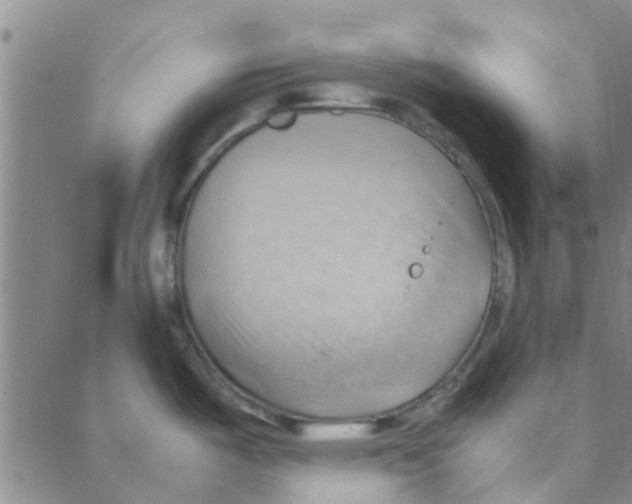 X0000088371487200706191231