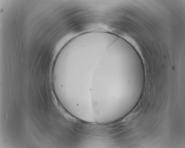 X0000088371488200706191230