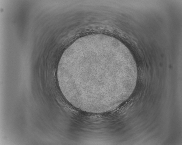 X0000088371489200706191230