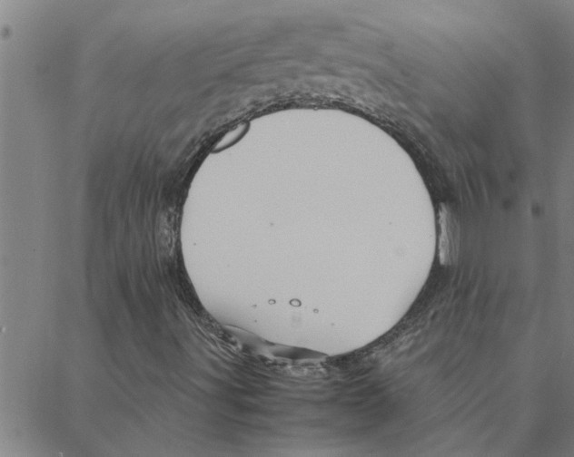 X0000088371491200706191230