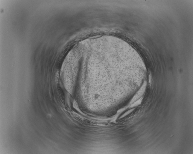 X0000088371492200706191230