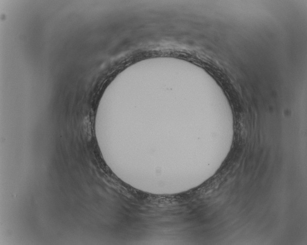 X0000088371493200706191230