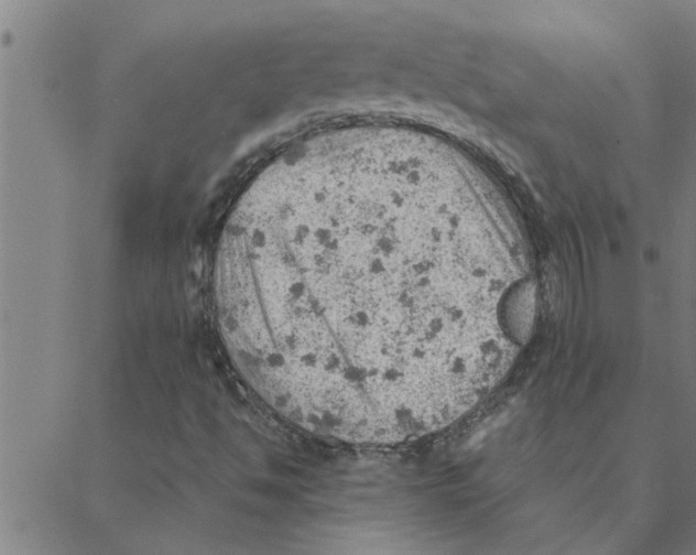 X0000088371494200706191230