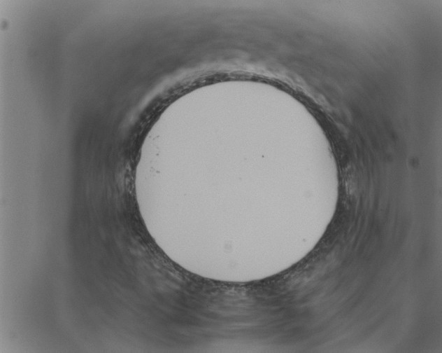 X0000088371495200706191230