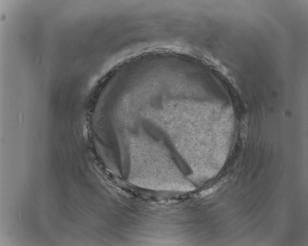 X0000088371496200706191230