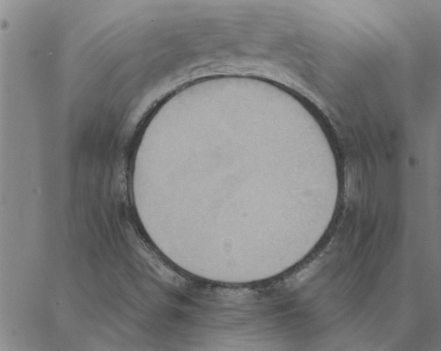 X0000088371498200706191230