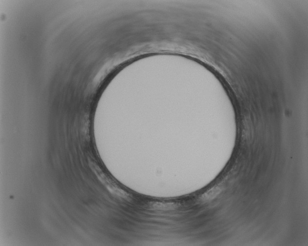 X0000088371499200706191230